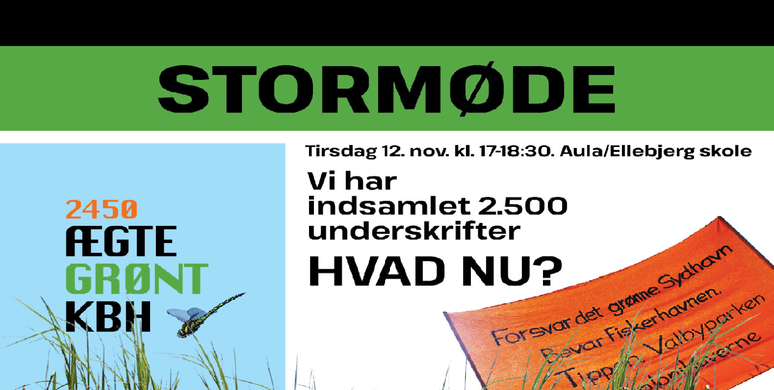stormøde på ellebjerg skole